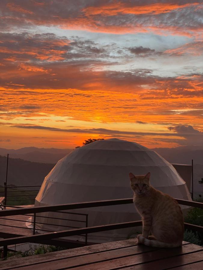 Kintiri Glamping Hotel Nicoya Exterior photo